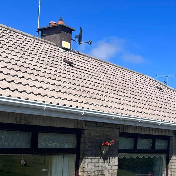 roof cleaning Roof Cleaning Sealing & Painting Wicklow, Kilkenny, Carlow & Wexford